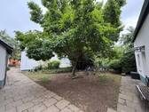 IMG_9719 - 