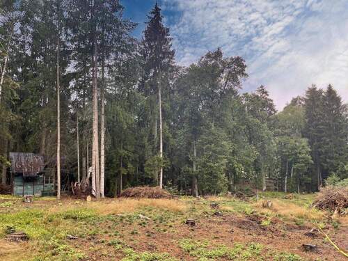 IMG_5825_Original - Grundstück zum Kaufen in Jesteburg