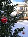 Garten im Winter - 