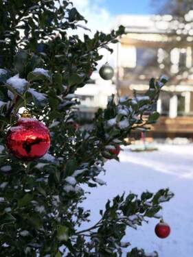 Garten im Winter - 