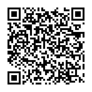 QR-Code - 