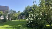 Gartenimpressionen - 