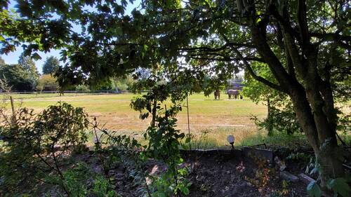 Weidestück hinter dem Haus - 