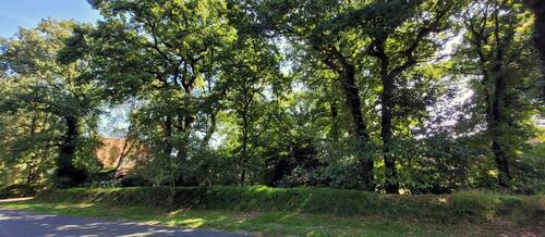 Ansicht von der Straße - 9 Zimmer Mehrfamilienhaus, Wohnhaus zum Kaufen in Zetel