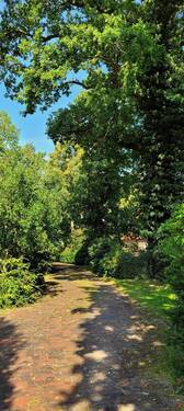 Auffahrt - Mehrfamilienhaus, Wohnhaus mit 216,00 m&sup2; in Zetel zum Kaufen