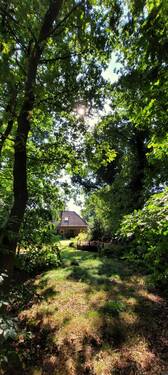 Baumbestand für tollen Sichtschutz - 