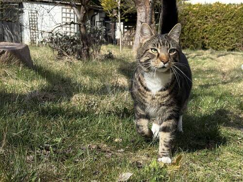 Freude auch für Ihr Tier - 