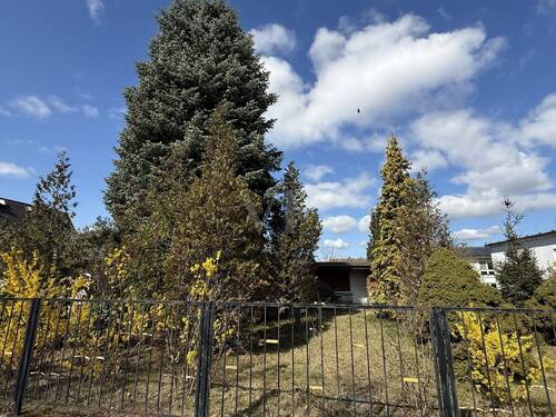 Blick auf das Grundstück - Grundstück in Berlin-Pankow