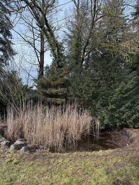 WhatsApp Image 2026-02-23 at 17.48.31 (5) - 