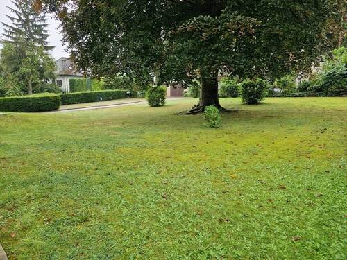 Garten - 