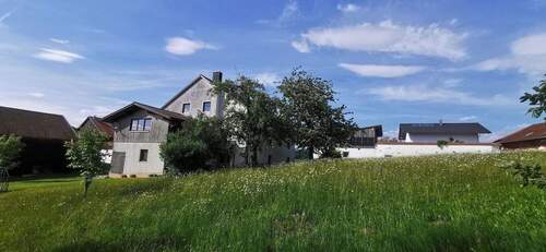 Naturbelassener Garten - 