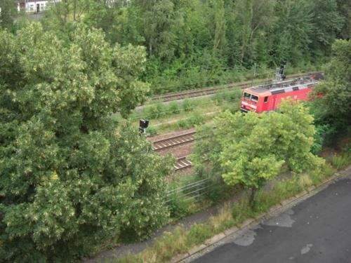 rem31_u - 2 Zimmer Etagenwohnung in Chemnitz