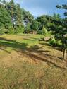 Hofgrundstück - Einfamilienhaus mit 146,00 m² in Stolpe zum Kaufen