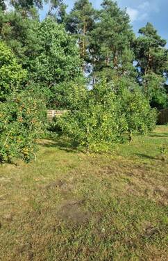 Apfelgarten - 