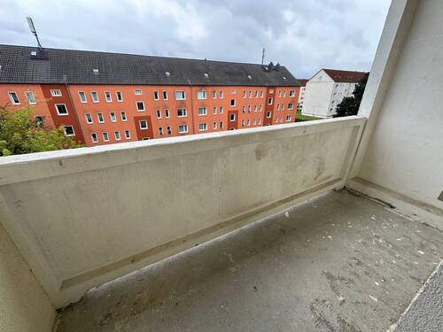 IMG_8782 - 
