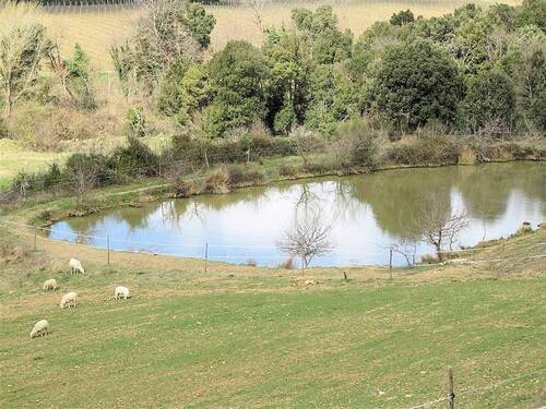 Bild 3 - 7 Zimmer Bauernhaus, Landhaus in Gavorrano