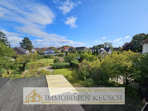 Blick in den großen Garten - 
