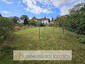 sehr großes grünes Grundstück - 