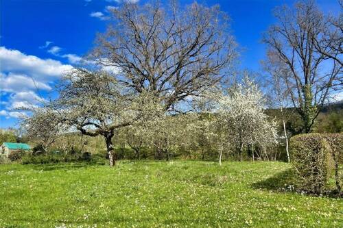 Garten mit Baumbestand - 