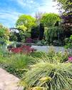 Terrassenausicht Gartenbereich - 
