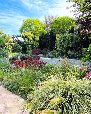 Terrassenausicht Gartenbereich - 