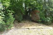 Gartenaufgang Waldstück - 