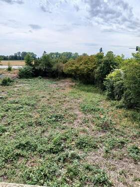 Garten/Bauland - 5 Zimmer Einfamilienhaus zum Kaufen in Worms