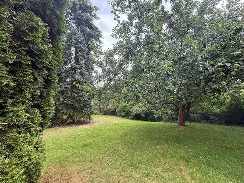 Gartenbereich (1) - 