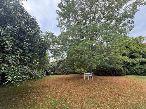 Gartenbereich (2) - 