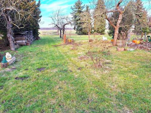 13 Garten gerade.jpg - 