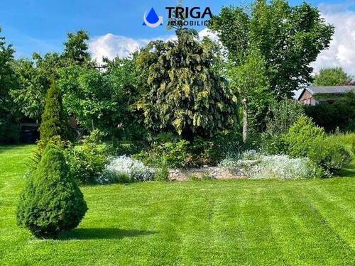 Garten - 