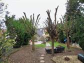 Gartenblick in Richtung Haus - 