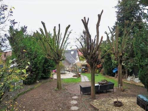 Gartenblick in Richtung Haus - 