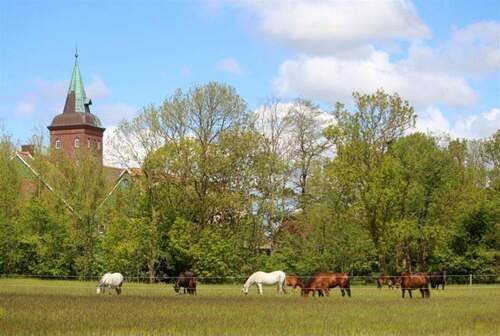 Hofanlage inkl. zugehörigen Hektar - 