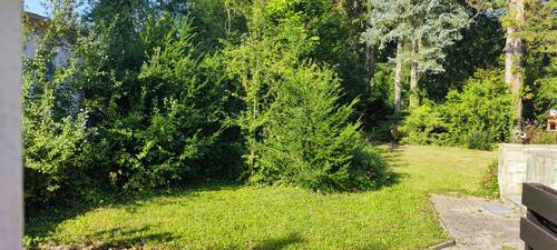 IMG_20240826_095906.jpg - 