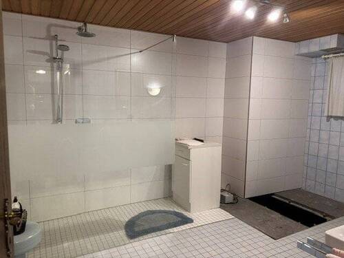 Duschbad im Souterrain - 