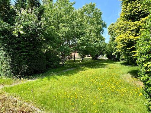 Großer Garten - 