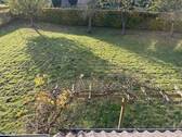 Blick in den Garten - 