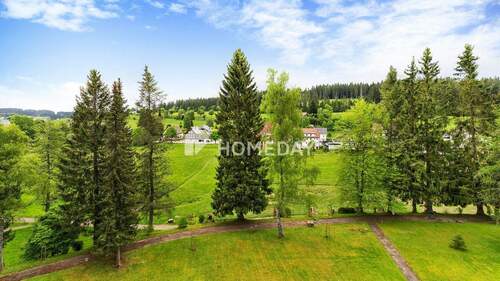 Ausblick - 2 Zimmer Etagenwohnung zum Kaufen in Schönwald