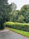 Ausblick - 