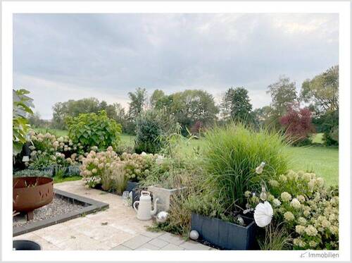 145-2025 Hortensien.jpg - 