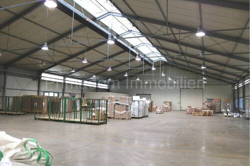 Halle 1 - 