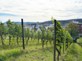 Aussicht - 3 Zimmer Etagenwohnung in Stuttgart