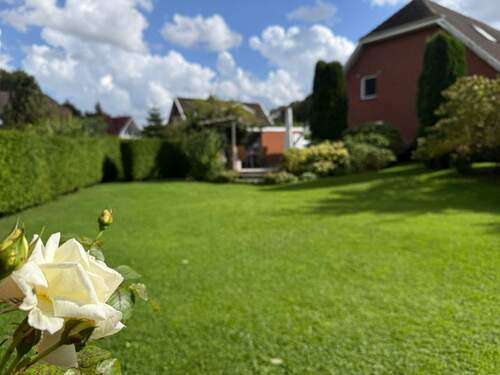 Bild 13 - 
