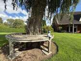 Bild 19 - 