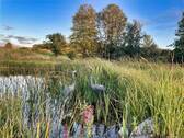 Naturteich - 