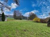 Ausblick - 