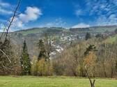 Ausblick - 