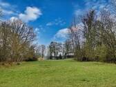 angrenzende Wiese - 