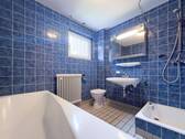 Tageslichtbad EG - 